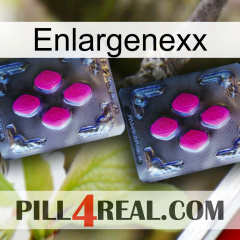 Enlargenexx 01